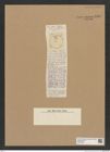 Diatomeae indet. Zeichnungen Sammlung Grunow Nr. 8961 (NHMW-BOT-W0378650)